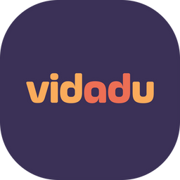 Online Graphic Designer  - Vidadu logo